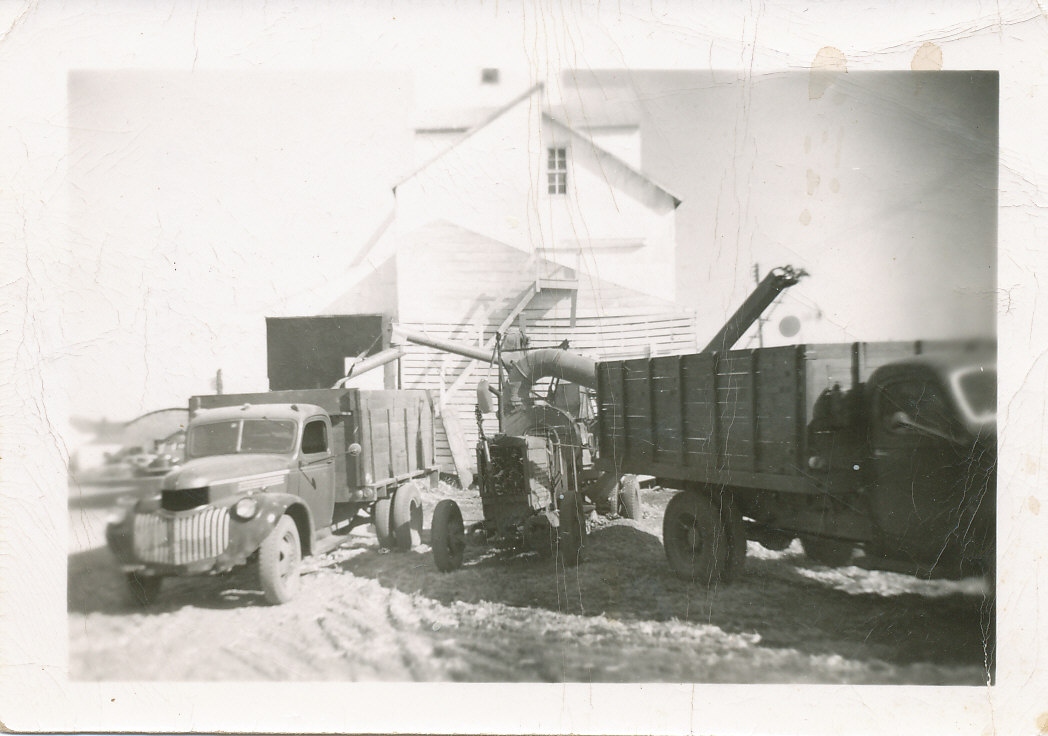Corn shelling operation at Burget Mill in 1954 with trucks and grain elevator